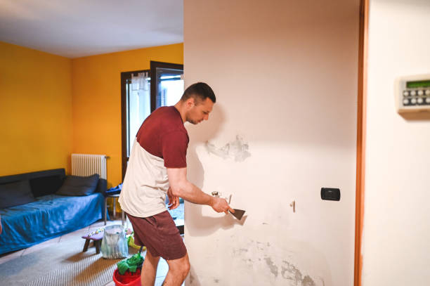 Best Professional Mold Removal  in Spring Valley, WI